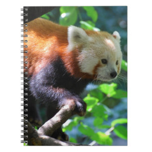 Product aanpassen notitieboek