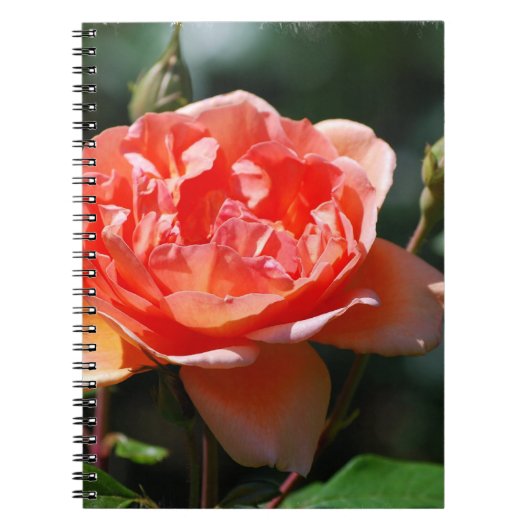 Product aanpassen notitieboek (Voorkant)