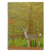 Product aanpassen notitieboek (Voorkant)