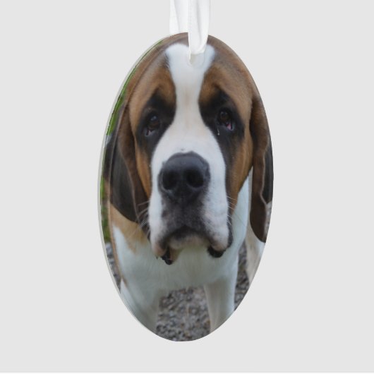 Product aanpassen ornament (voorkant)