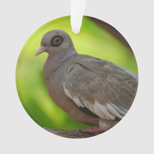 Product aanpassen ornament (voorkant)