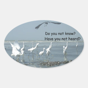 Product aanpassen ovale sticker