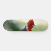 Product aanpassen persoonlijk skateboard (Horizontaal)