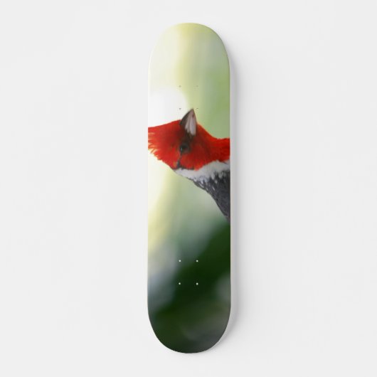 Product aanpassen persoonlijk skateboard (Voorkant)