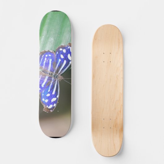 Product aanpassen persoonlijk skateboard (Voorkant)