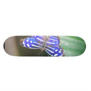 Product aanpassen persoonlijk skateboard