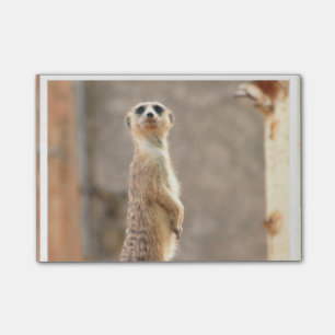 Product aanpassen post-it® notes