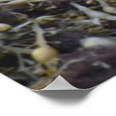 Product aanpassen poster (Hoek)