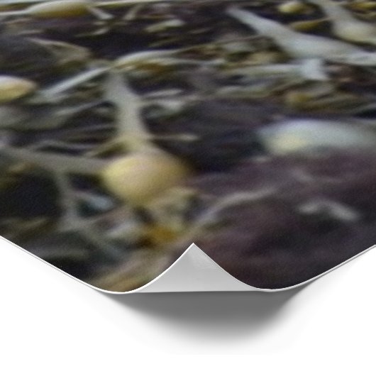 Product aanpassen poster (Hoek)