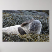 Product aanpassen poster (Voorkant)