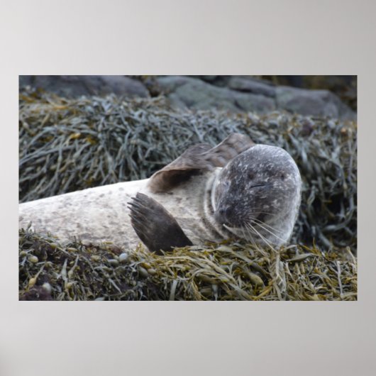 Product aanpassen poster (Voorkant)