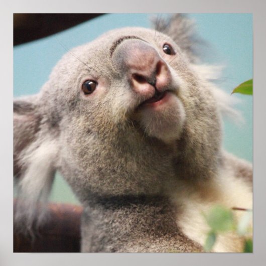 Product aanpassen poster (Voorkant)