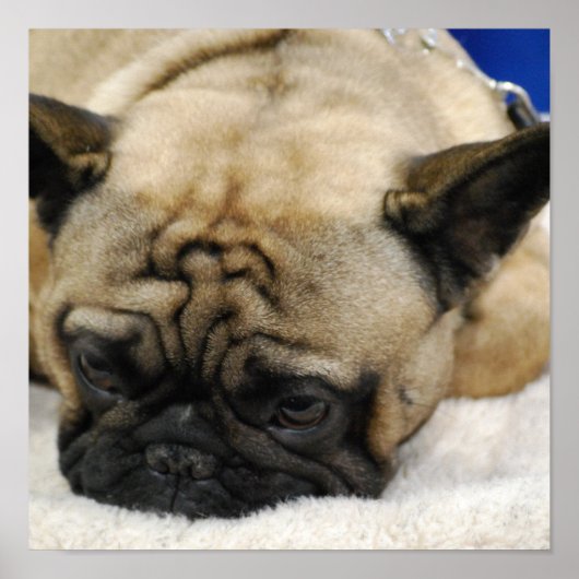 Product aanpassen poster (Voorkant)