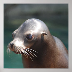 Product aanpassen poster