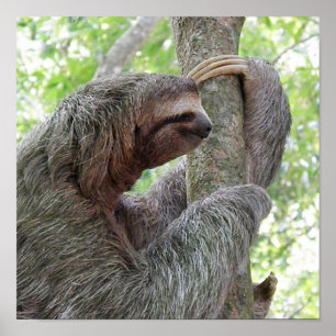 Product aanpassen poster