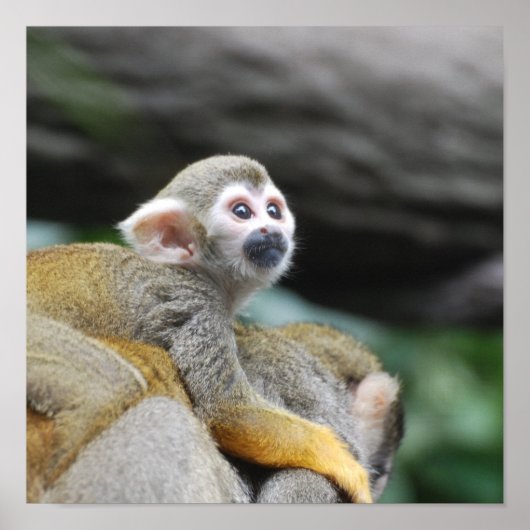 Product aanpassen poster (Voorkant)