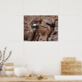 Product aanpassen poster (Keuken)