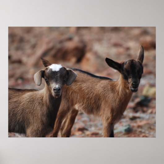 Product aanpassen poster (Voorkant)