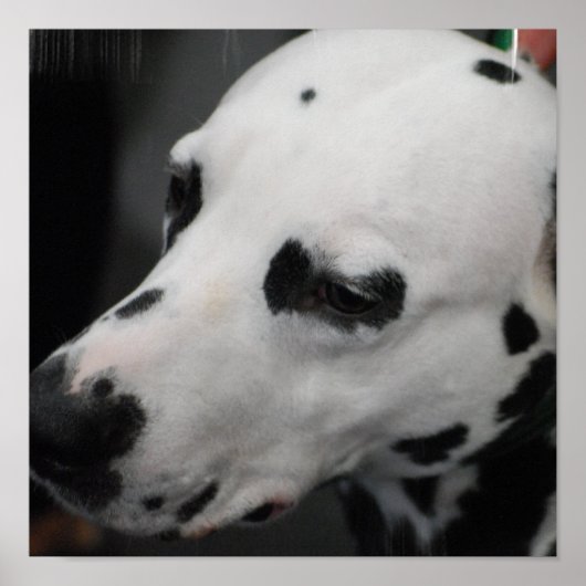 Product aanpassen poster (Voorkant)