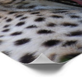 Product aanpassen poster (Hoek)