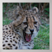 Product aanpassen poster (Voorkant)