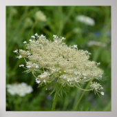 Product aanpassen poster (Voorkant)