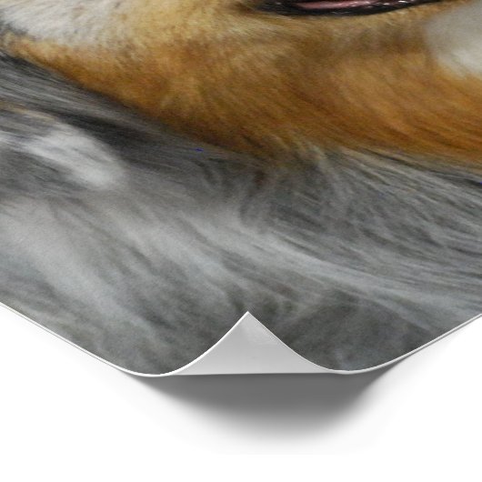 Product aanpassen poster (Hoek)