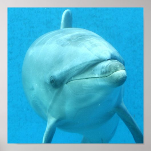 Product aanpassen poster (Voorkant)