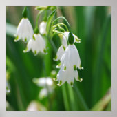 Product aanpassen poster (Voorkant)