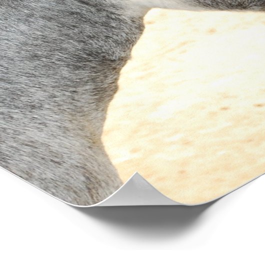 Product aanpassen poster (Hoek)