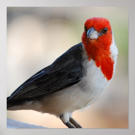 Product aanpassen poster (Voorkant)