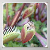 Product aanpassen poster (Voorkant)