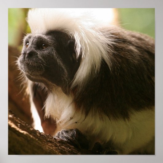 Product aanpassen poster (Voorkant)