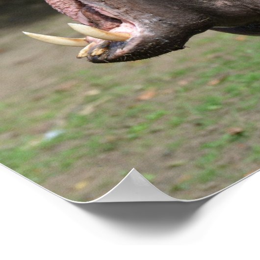 Product aanpassen poster (Hoek)