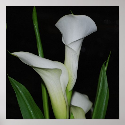 Product aanpassen poster (Voorkant)