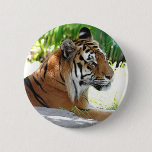 Product aanpassen ronde button 5,7 cm