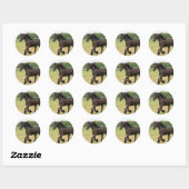 Product aanpassen ronde sticker (Vel)
