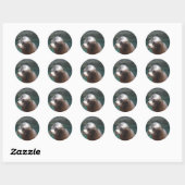 Product aanpassen ronde sticker (Vel)