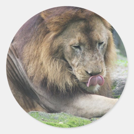 Product aanpassen ronde sticker (Voorkant)