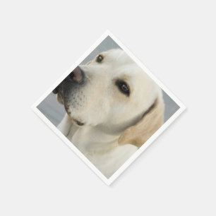 Product aanpassen servetten