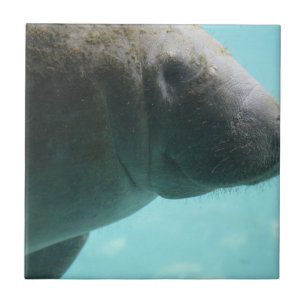 Product aanpassen tegeltje