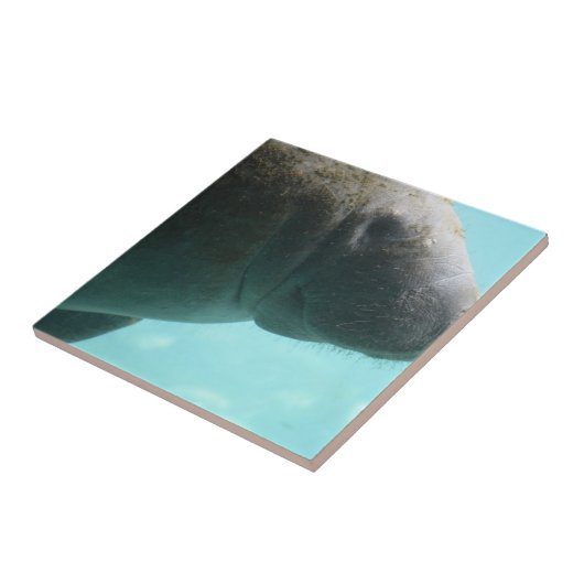 Product aanpassen tegeltje (Zijkant)