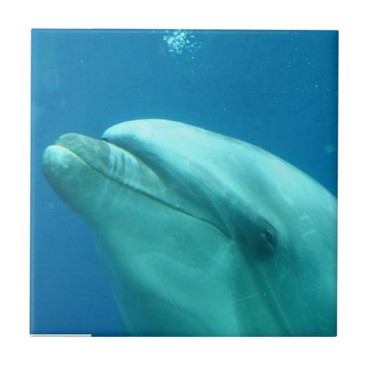 Product aanpassen tegeltje (Voorkant)