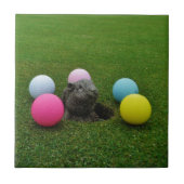 Product aanpassen tegeltje (Voorkant)