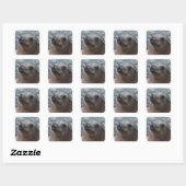 Product aanpassen vierkante sticker (Vel)