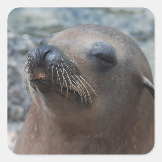 Product aanpassen vierkante sticker (Voorkant)