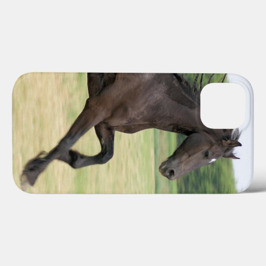 Product Case-Mate iPhone Case (Achterkant (horizontaal))