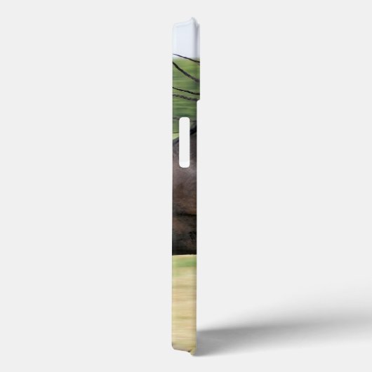 Product Case-Mate iPhone Case (Achterkant / Rechts)