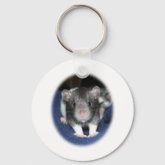 Producten voor de opfok van Baby Sleutelhanger