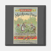  productetiket Art, Wells kan pillen appelen Magneet (Voorkant)
